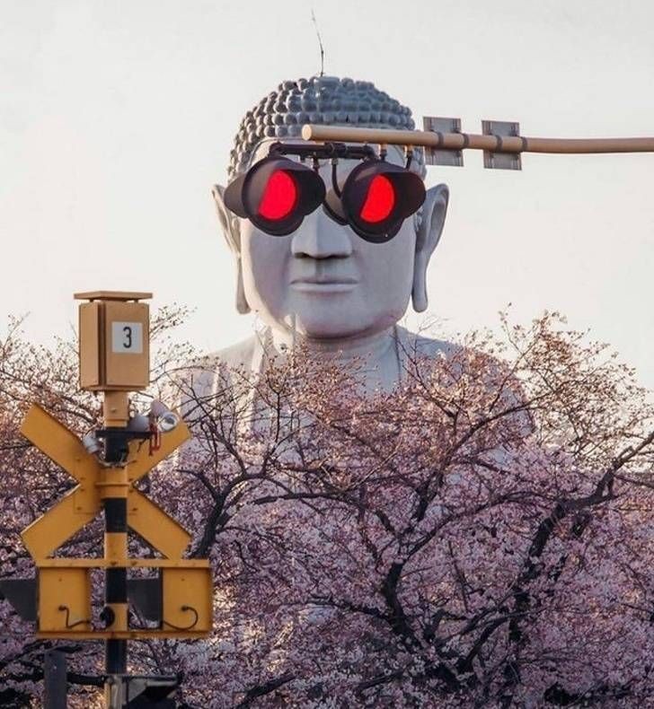 Foto Yang Nggak Sengaja Tapi Akurat Banget